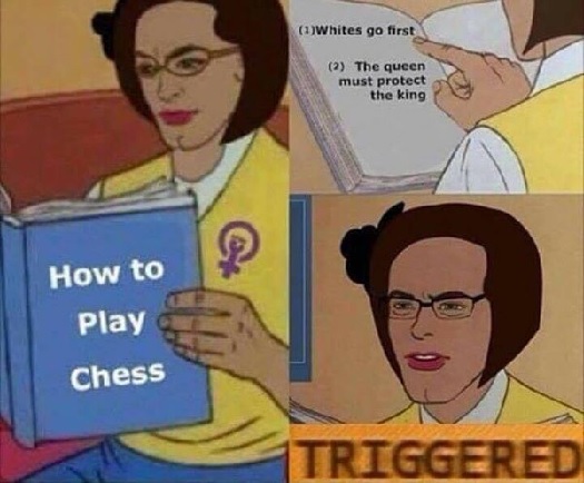 femininsts chess.jpg